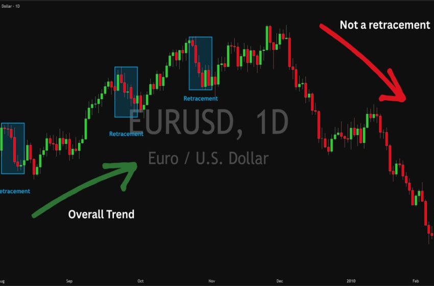  Currencies Explained: The Foundation Behind Every Forex Trade