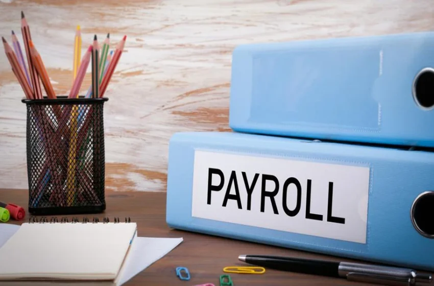  Automated Payroll Systems Delivering Timely Salary Processing With Operational Stability